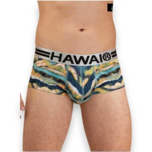 Alternative view of Bóxer Brief Microfibra Colombiano Hawai 42280